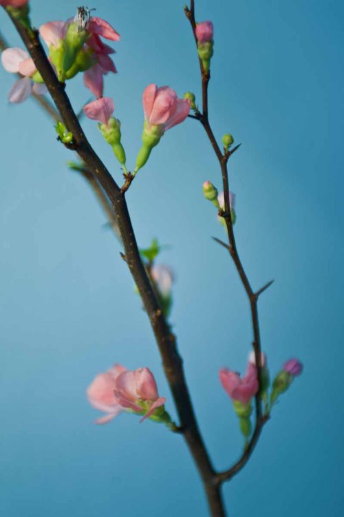 Osteopathie Lyssewski - Praxis an der Wakenitz in Lübeck